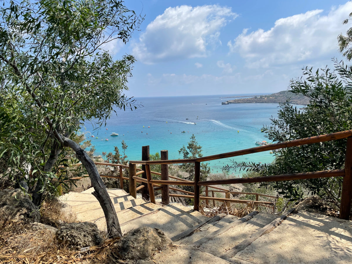 Scenic steps overlooking a calm turquoise bay framed by trees